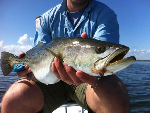 mosquito lagoon redfish