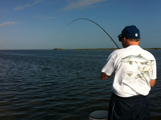 mosquito lagoon redfish