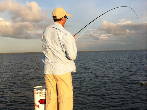 mosquito lagoon redfish
