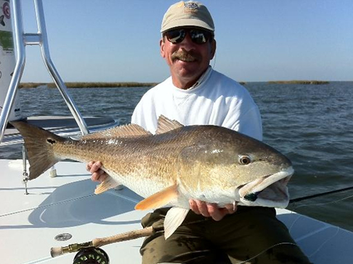 mosquito lagoon redfish