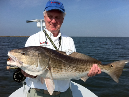 mosquito lagoon redfish