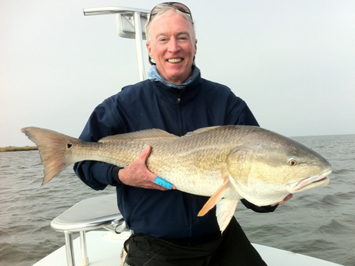 mosquito lagoon redfish