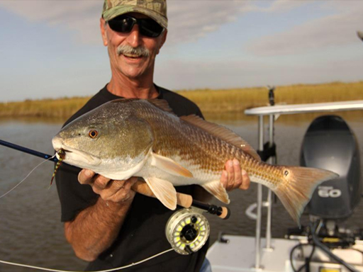 mosquito lagoon redfish