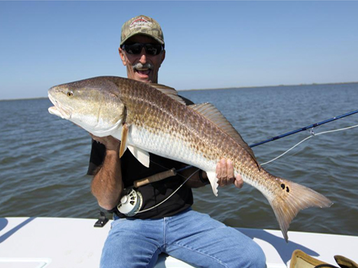 mosquito lagoon redfish