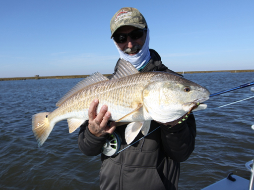 mosquito lagoon redfish