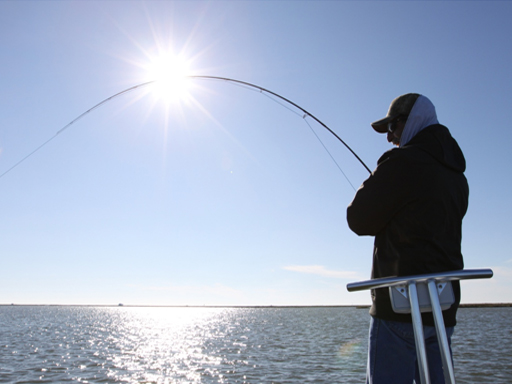 mosquito lagoon redfish