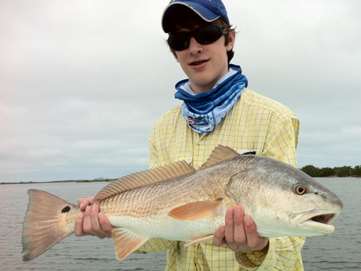 mosquito lagoon redfish