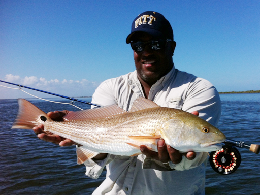 mosquito lagoon redfish