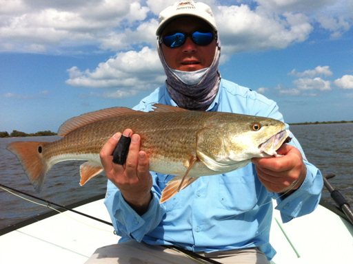mosquito lagoon redfish