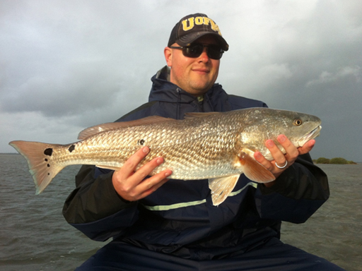 mosquito lagoon redfish