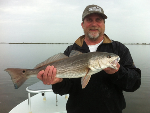 mosquito lagoon redfish
