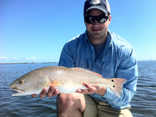 mosquito lagoon redfish