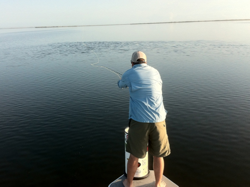 mosquito lagoon redfish