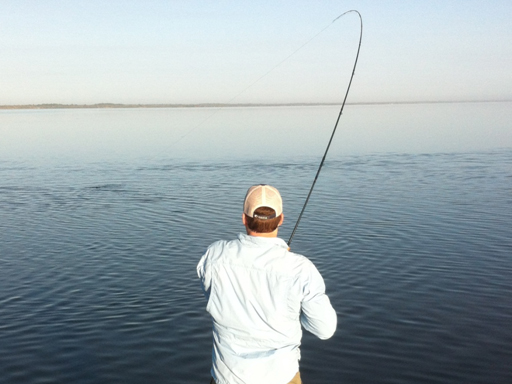 mosquito lagoon redfish