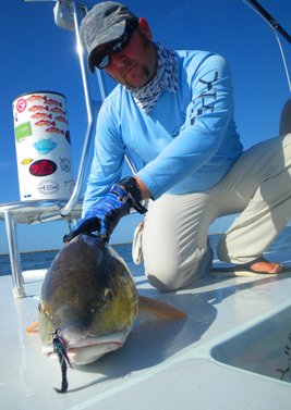 giant louisianna redfish