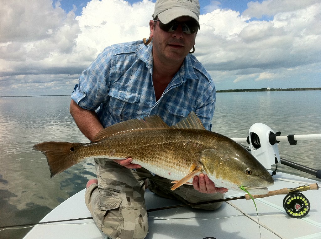 mosquito lagoon redfish