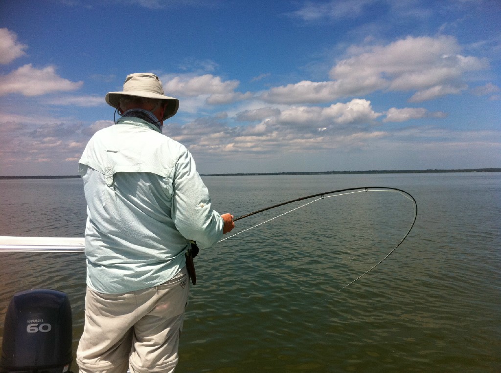 mosquito lagoon redfish