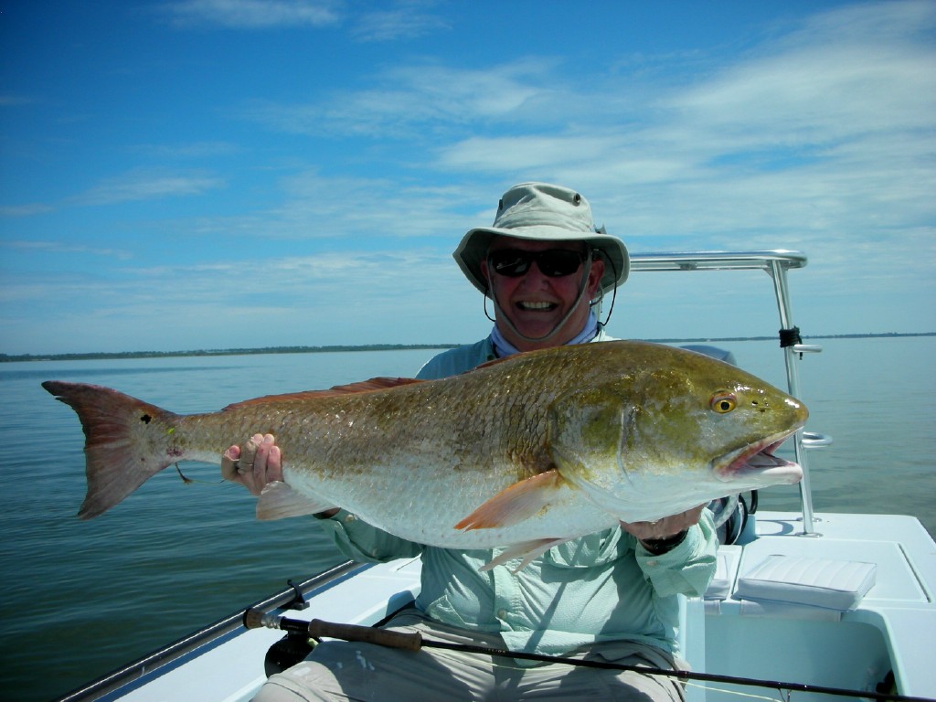 mosquito lagoon redfish