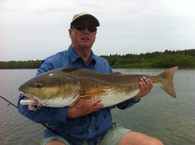 redfish