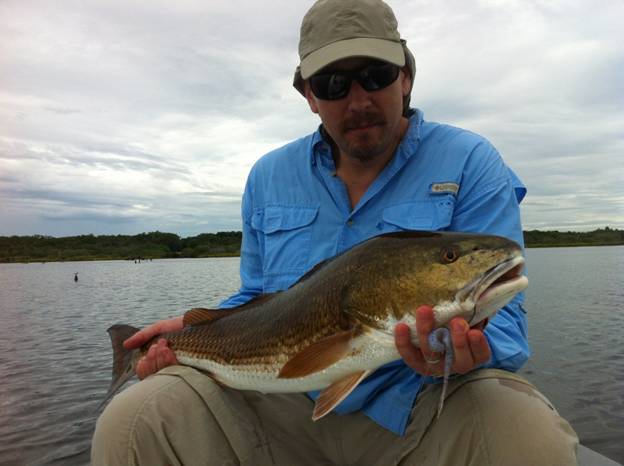 mosquito lagoon redfish