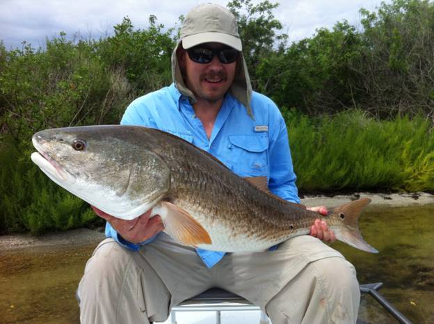 mosquito lagoon redfish