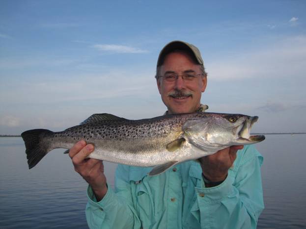 mosquito lagoon seatrout
