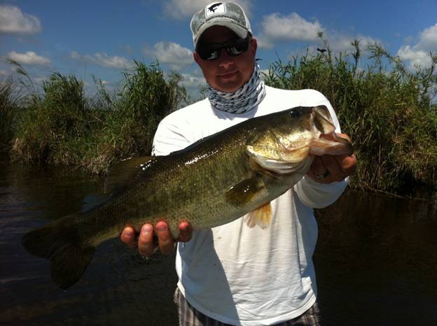 St. Johns river large mouth bass