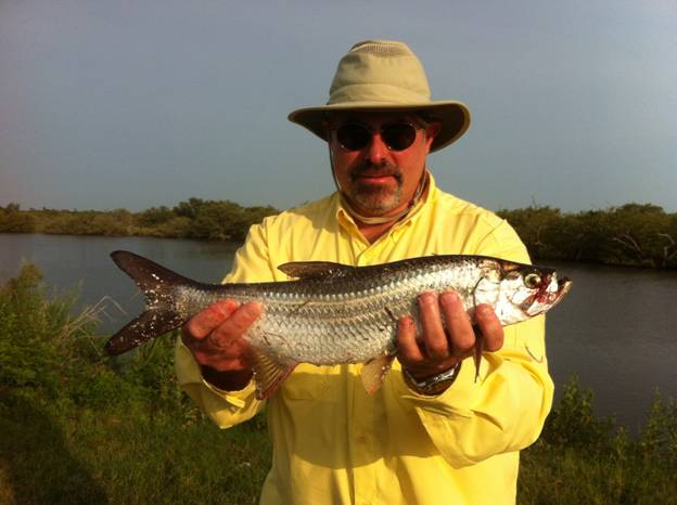 mosquito lagoon tarpon