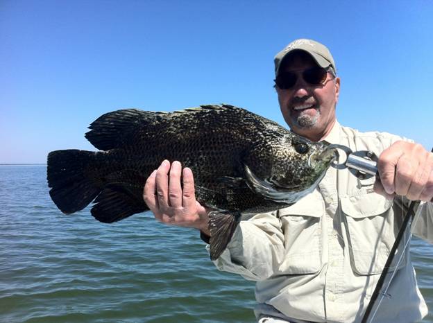 mosquito lagoon redfish
