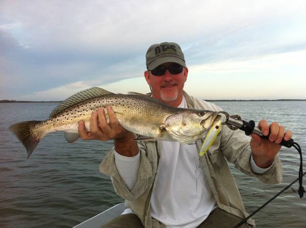 mosquito lagoon seatrout