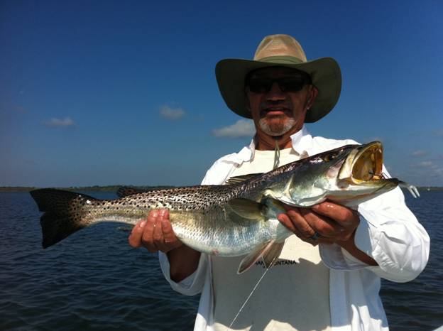 mosquito lagoon seatrout