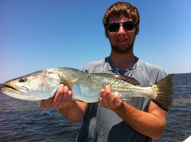 mosquito lagoon seatrout